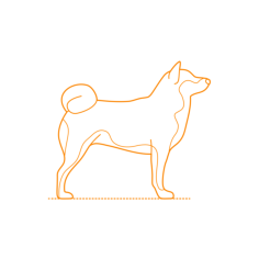 Animals Dogs Akita Outline Svg File, Free Vectors File